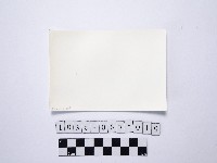 黃則修攝戲水群眾7藏品圖，第2張