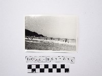 黃則修攝戲水群眾8藏品圖，第1張