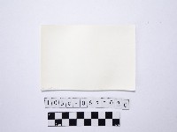 黃則修攝戲水群眾8藏品圖，第2張