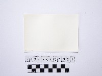 黃則修攝戲水群眾9藏品圖，第2張