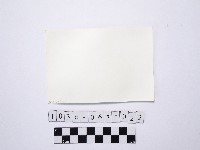 黃則修攝一名燦笑的女性藏品圖，第2張