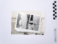 黃則修攝海水浴場戲水系列照片藏品圖，第1張