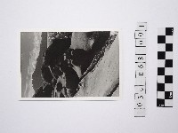 黃則修攝野柳地景燭臺石1藏品圖，第1張