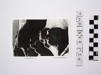 黃則修攝野柳地景燭臺石4藏品圖，第1張