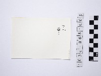 黃則修攝野柳地景燭臺石5藏品圖，第2張