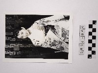 黃則修攝日本女星扇千景藏品圖，第1張