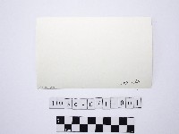 黃則修攝女藝人鄭慶寧藏品圖，第2張