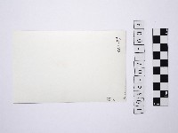 黃則修攝女藝人凌波、鄭慶寧藏品圖，第2張