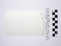 黃則修攝女藝人凌波、鄭慶寧藏品圖，第2張