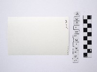 黃則修攝女藝人鄭慶寧藏品圖，第2張