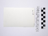 黃則修攝女藝人鄭慶寧藏品圖，第2張