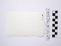 黃則修攝女藝人鄭慶寧藏品圖，第2張