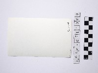 黃則修攝女藝人鄭慶寧藏品圖，第2張