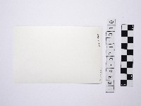 黃則修攝女性坐於野柳蜂窩岩藏品圖，第2張