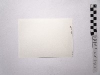 黃則修攝女藝人凌波、鄭慶寧藏品圖，第2張