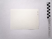 黃則修攝女藝人凌波、鄭慶寧藏品圖，第2張