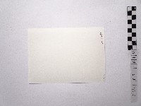 黃則修攝女藝人鄭慶寧藏品圖，第2張