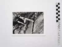 黃則修攝女藝人鄭慶寧藏品圖，第1張