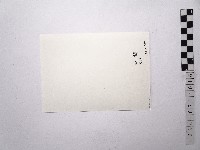 黃則修攝女藝人鄭慶寧藏品圖，第2張