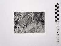 黃則修攝女藝人鄭慶寧藏品圖，第1張