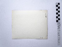 黃則修攝女藝人凌波、鄭慶寧藏品圖，第2張