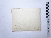 黃則修攝女性坐於野柳蜂窩岩藏品圖，第2張