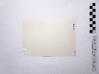 黃則修攝女藝人江霞藏品圖，第2張