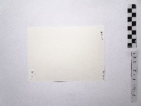 黃則修攝女藝人劉明藏品圖，第2張