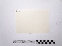 黃則修攝賴秀峰藏品圖，第2張