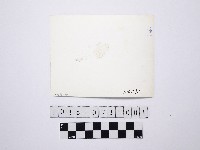 黃則修攝女藝人1藏品圖，第2張