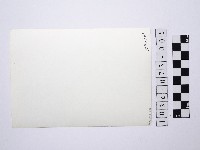 黃則修攝女藝人5藏品圖，第2張