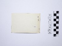 黃則修攝女藝人藏品圖，第2張