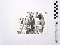 黃則修攝馬偕銅像藏品圖，第1張