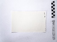 黃則修攝馬偕銅像藏品圖，第2張