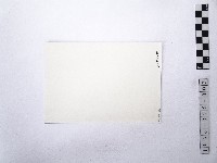 黃則修攝小徑1藏品圖，第2張