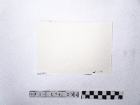 黃則修攝馬偕銅像2藏品圖，第2張