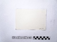 黃則修攝馬偕銅像3藏品圖，第2張