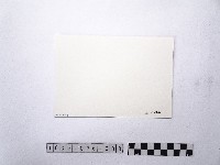 黃則修攝牛津學堂藏品圖，第2張