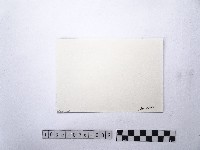 黃則修攝滬尾偕醫館2藏品圖，第2張