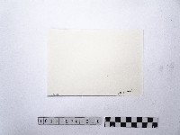 黃則修攝滬尾偕醫館3藏品圖，第2張