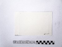 黃則修攝滬尾偕醫館4藏品圖，第2張