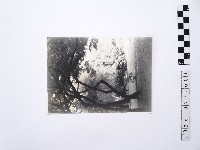 黃則修攝觀世音立像1藏品圖，第1張