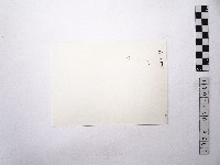 黃則修攝觀世音立像1藏品圖，第2張