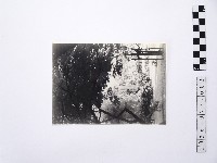 黃則修攝觀世音立像2藏品圖，第1張