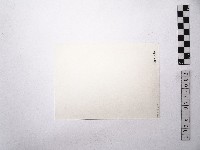 黃則修攝觀世音立像2藏品圖，第2張