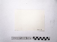 黃則修攝河畔風景4藏品圖，第2張