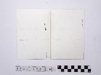 黃則修攝城隍廟1藏品圖，第2張