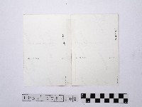 黃則修攝城隍廟2藏品圖，第2張