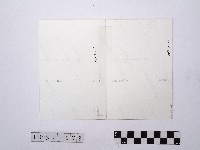 黃則修攝城隍廟系列照片藏品圖，第2張