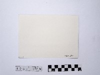 黃則修攝道路街景藏品圖，第2張